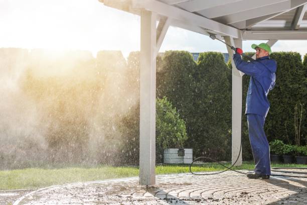 Animal Enclosure Cleaning in Hazel Crest, IL